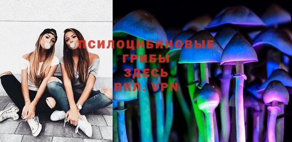 гашик Абаза